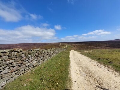North Yorkshire Moors in the sunshine